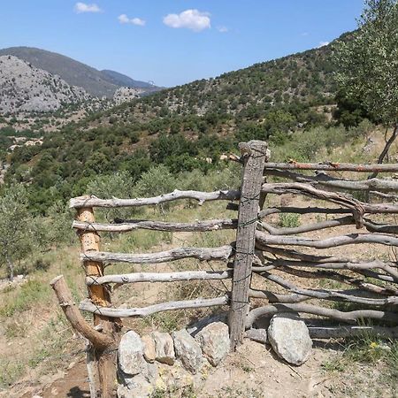 Les Bergeries "Le Figuier" Hotel Omessa ภายนอก รูปภาพ