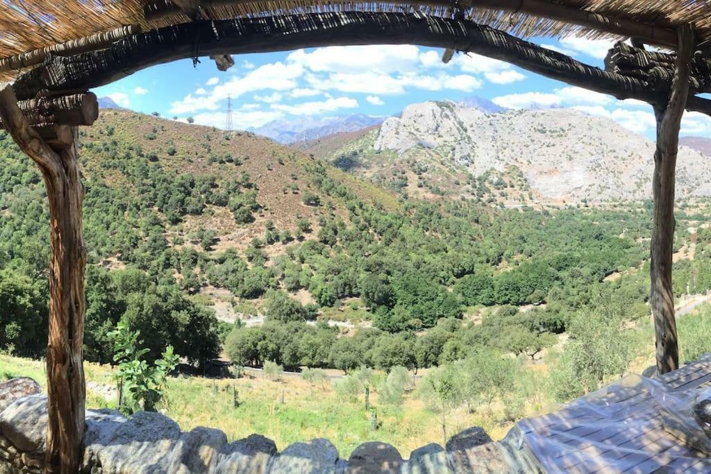 Les Bergeries "Le Figuier" Hotel Omessa ภายนอก รูปภาพ