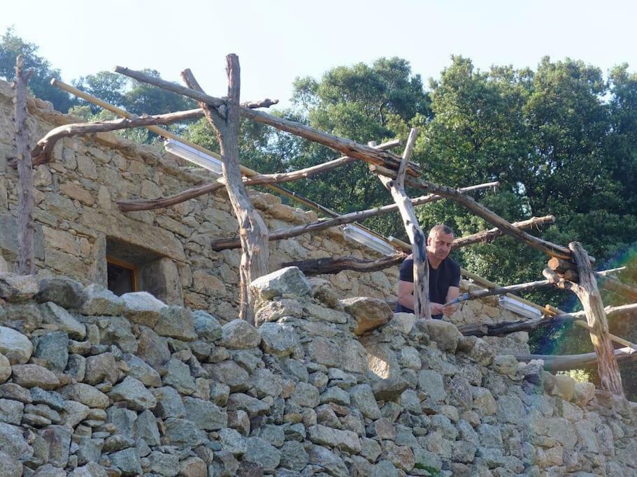 Les Bergeries "Le Figuier" Hotel Omessa ภายนอก รูปภาพ