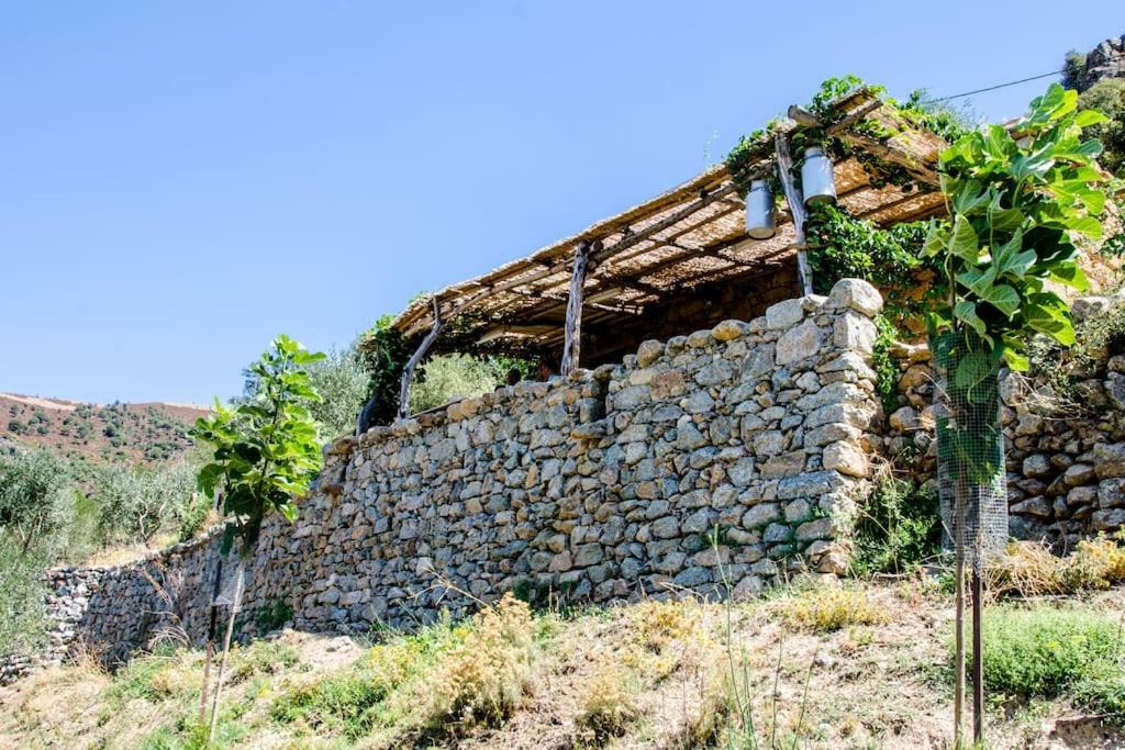 Les Bergeries "Le Figuier" Hotel Omessa ภายนอก รูปภาพ