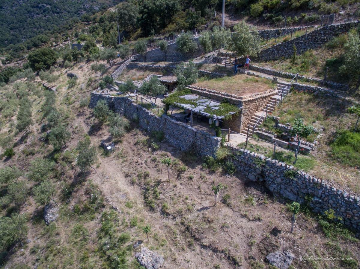 Les Bergeries "Le Figuier" Hotel Omessa ภายนอก รูปภาพ