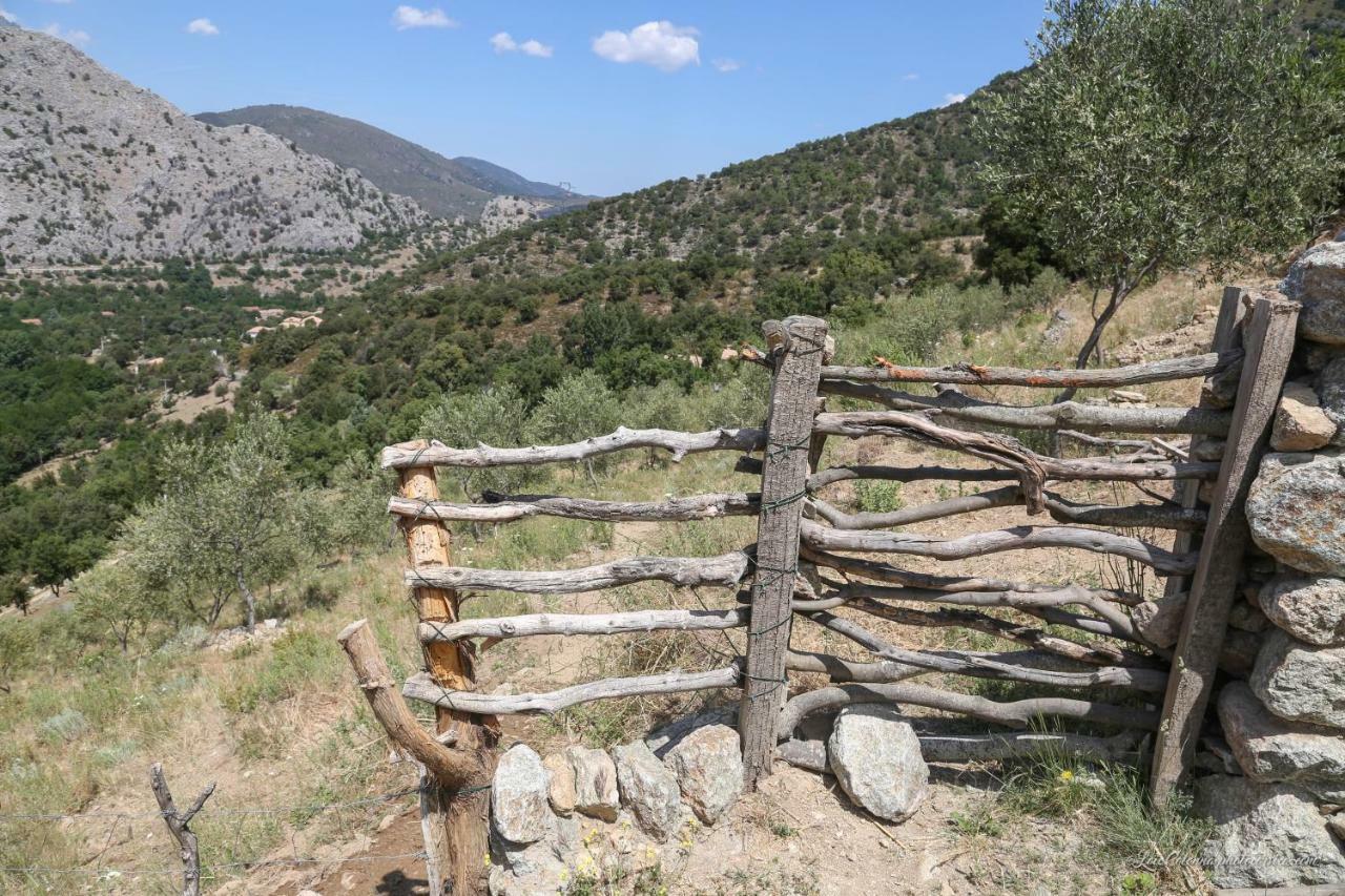 Les Bergeries "Le Figuier" Hotel Omessa ภายนอก รูปภาพ