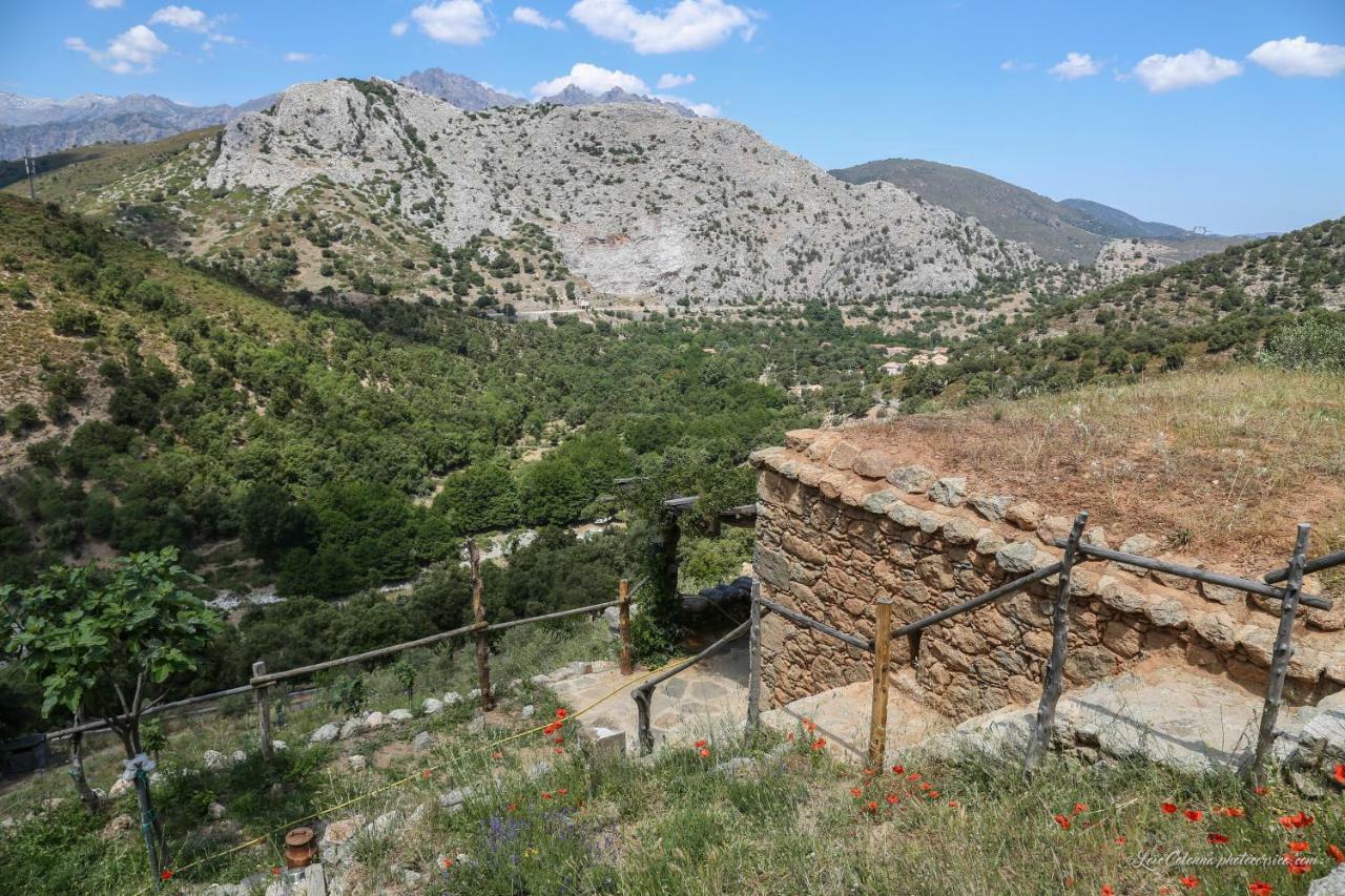 Les Bergeries "Le Figuier" Hotel Omessa ภายนอก รูปภาพ