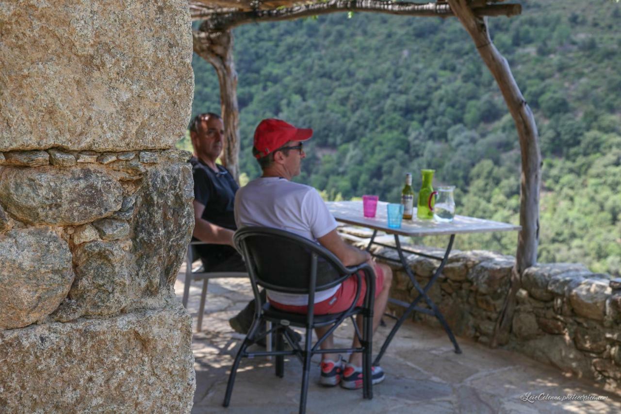 Les Bergeries "Le Figuier" Hotel Omessa ภายนอก รูปภาพ