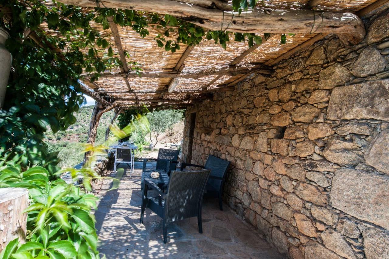 Les Bergeries "Le Figuier" Hotel Omessa ภายนอก รูปภาพ